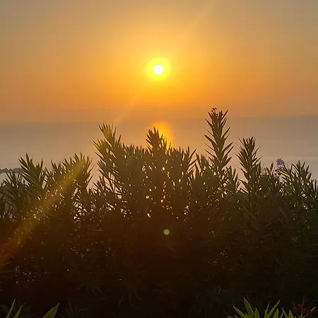 Apartment Sunrise